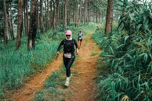 BIB: 
                            <button type="button" onclick="openModal(25656485)" class="btn btn-primary btn-sm float-right btn-popup" data-toggle="modal" data-target=".modal-high-quality">
                        <i class="fas fa-shopping-cart"></i> Add to Cart
                    </button>
                                            <button type="button" onclick="isThisMe(25656485, true)" class="btn btn-success btn-sm float-right btn-popup btn-isme hidden" data-toggle="tooltip" data-placement="bottom" title="นี่คือรูปของคุณใช่ไหม คลิกที่นี่เพื่อเอาเข้าอัลบั้ม">
                        <i class="fas fa-plus"></i> Add to album
                    </button>
                    <button type="button" onclick="isThisMe(25656485, false)" class="btn btn-warning btn-sm float-right btn-popup btn-isnotme hidden">
                        <i class="fas fa-ban"></i> Remove from album
                    </button>